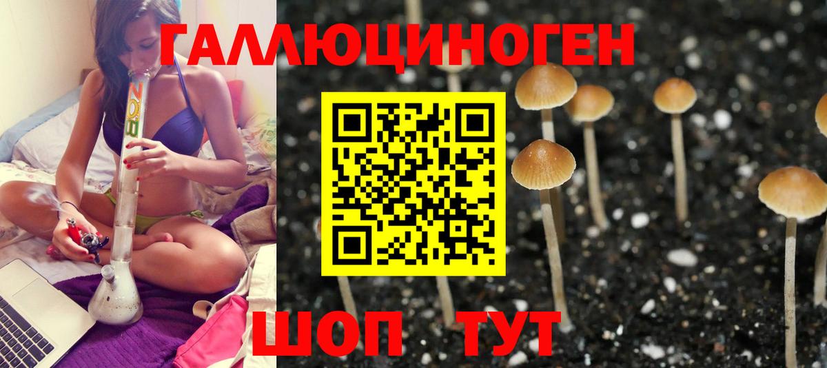 Псилоцибиновые грибы GOLDEN TEACHER Нижнеудинск