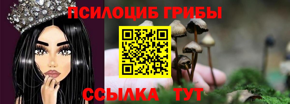 Псилоцибиновые грибы Cubensis  Вход с VPN  Псилоцибиновые грибы Psilocybine cubensis  Нижнеудинск 